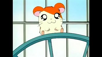 Hamtaro ep 01 DUBLADO